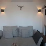 Lively In Apartament