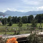 Lively In Apartament